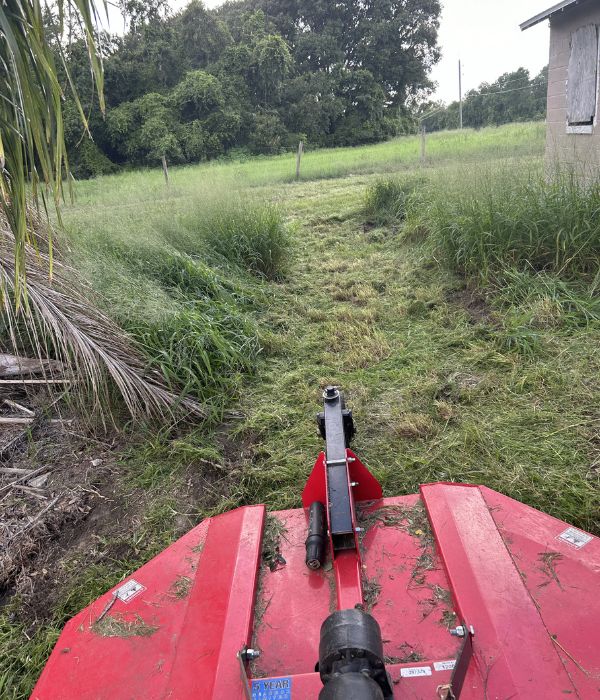 Bush Hog + Property Clearing brush hog service groveland fl
