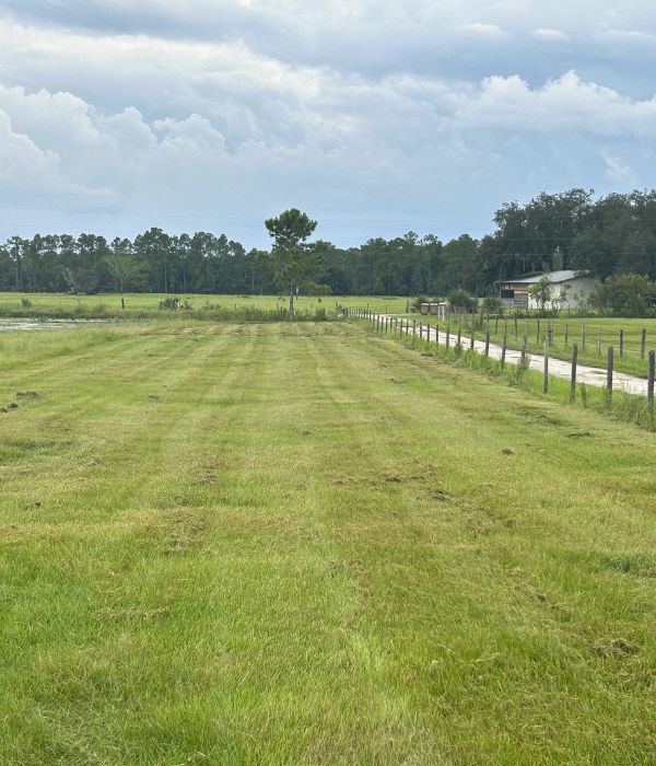 Bush Hog + Property Clearing bush hog service groveland fl