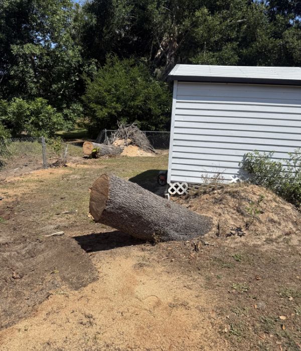 Stump Removal stump removal services groveland fl