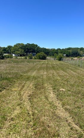 tractor brush hogging groveland fl
