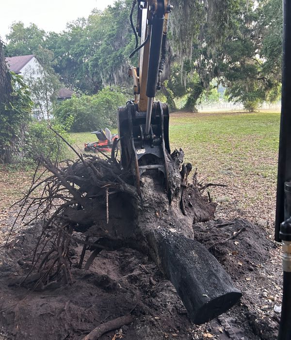 Stump Removal tree stump grinding service groveland fl
